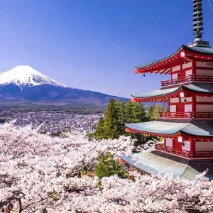 52c96-16502898229710-1920